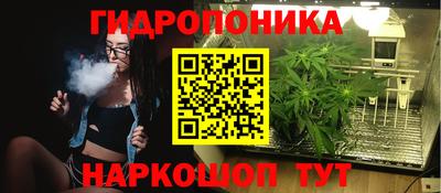 стаф Ставрополь
